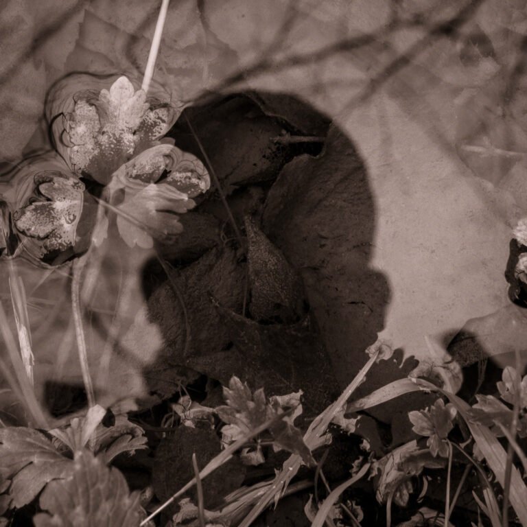 Whispers of Existence